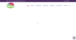 Desktop Screenshot of easycolour.com.au