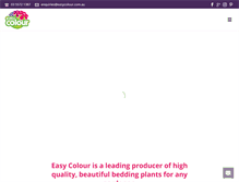 Tablet Screenshot of easycolour.com.au